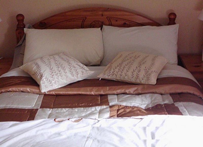 Cloncarlin House Bed and Breakfast Monasterevin Exteriör bild